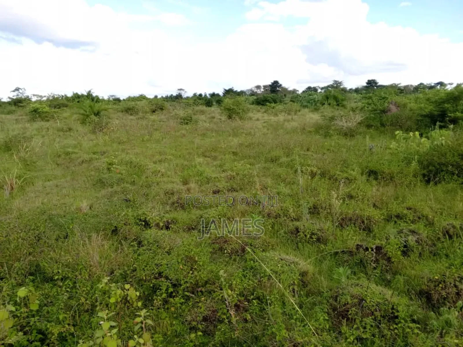 Land for Leasing