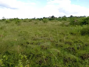 Land for Leasing