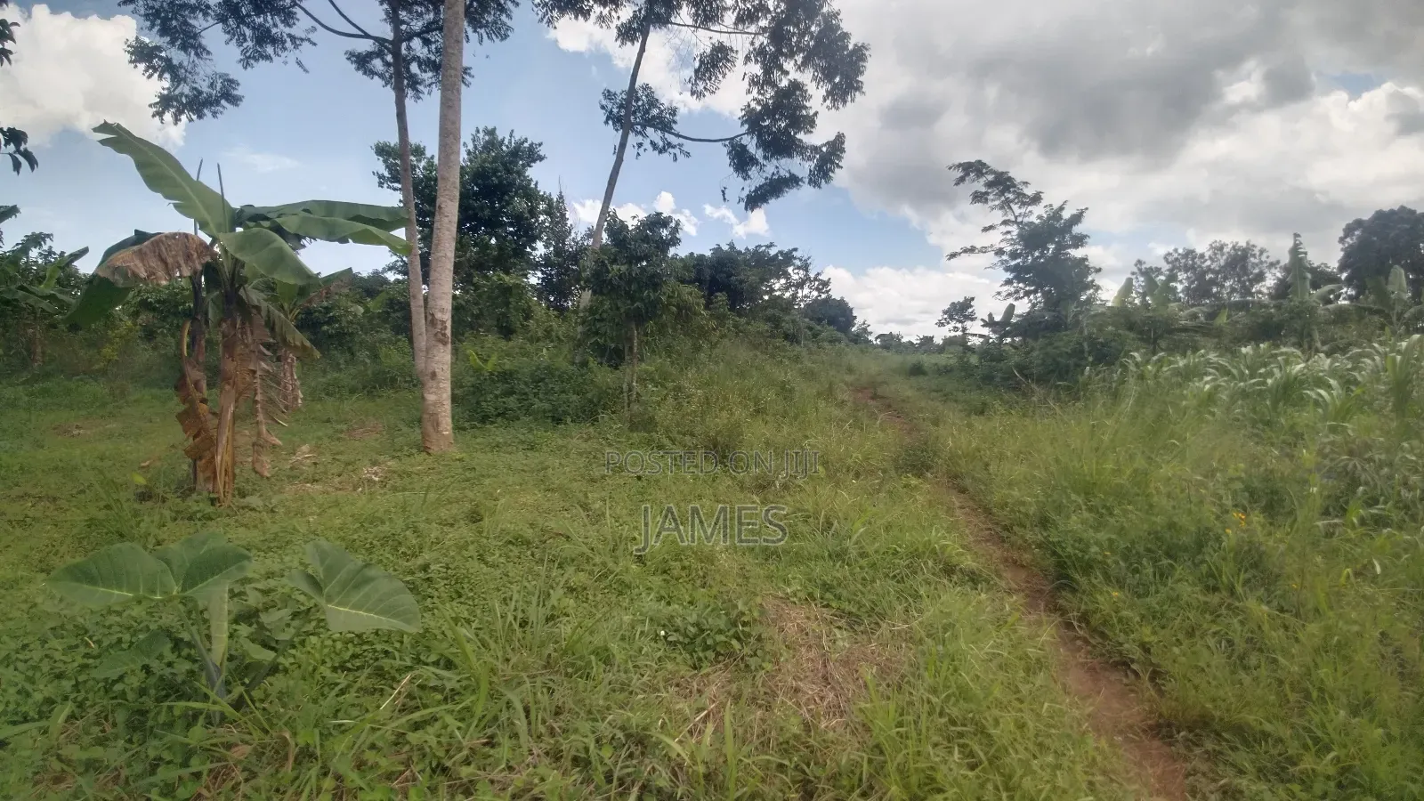 Land for Leasing
