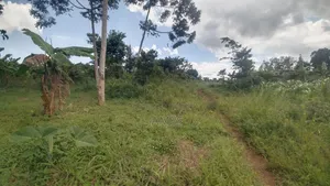 Land for Leasing