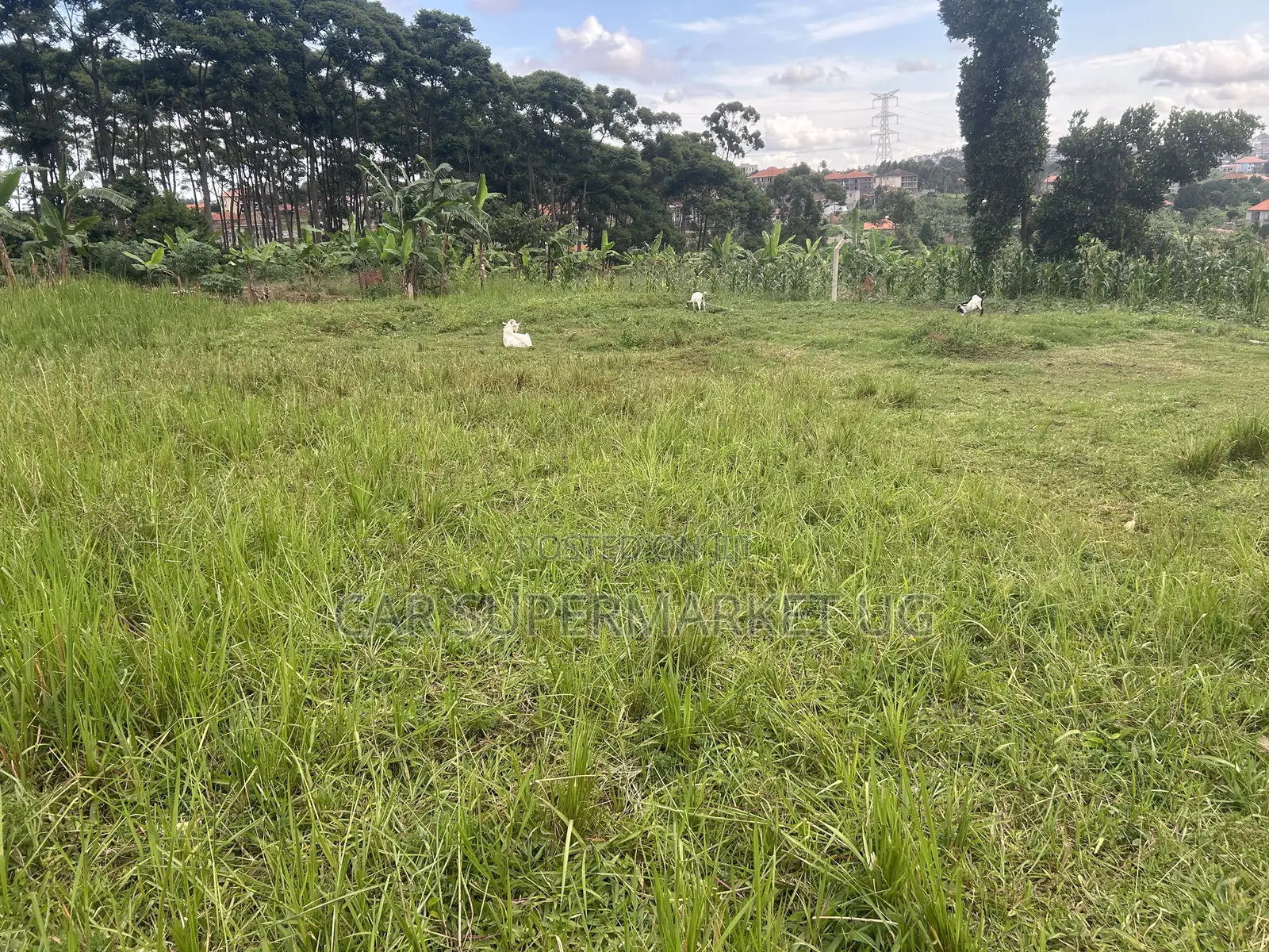 30 Decimals in Buwate. 50 Meters Buwate Road. At Ugx 360m