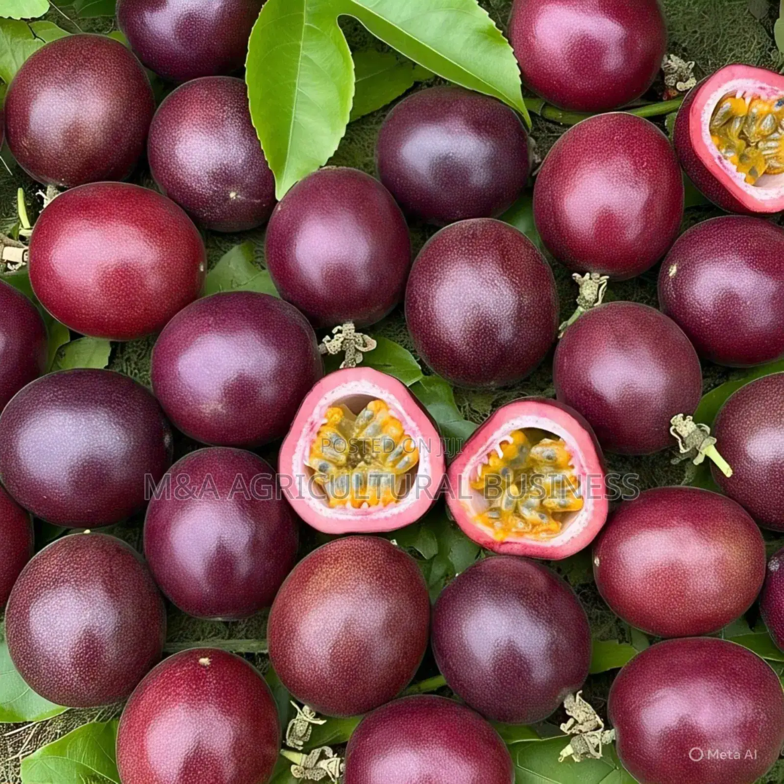 Graphted Passion Fruits(Upf 12)