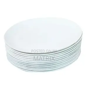 12 Pieces Melamine Dinner Plates