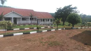 Photo - Mukono Primary School 2.5b