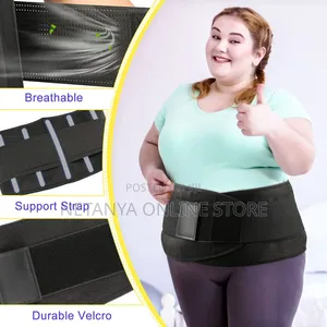 Back and Waist Support Belt