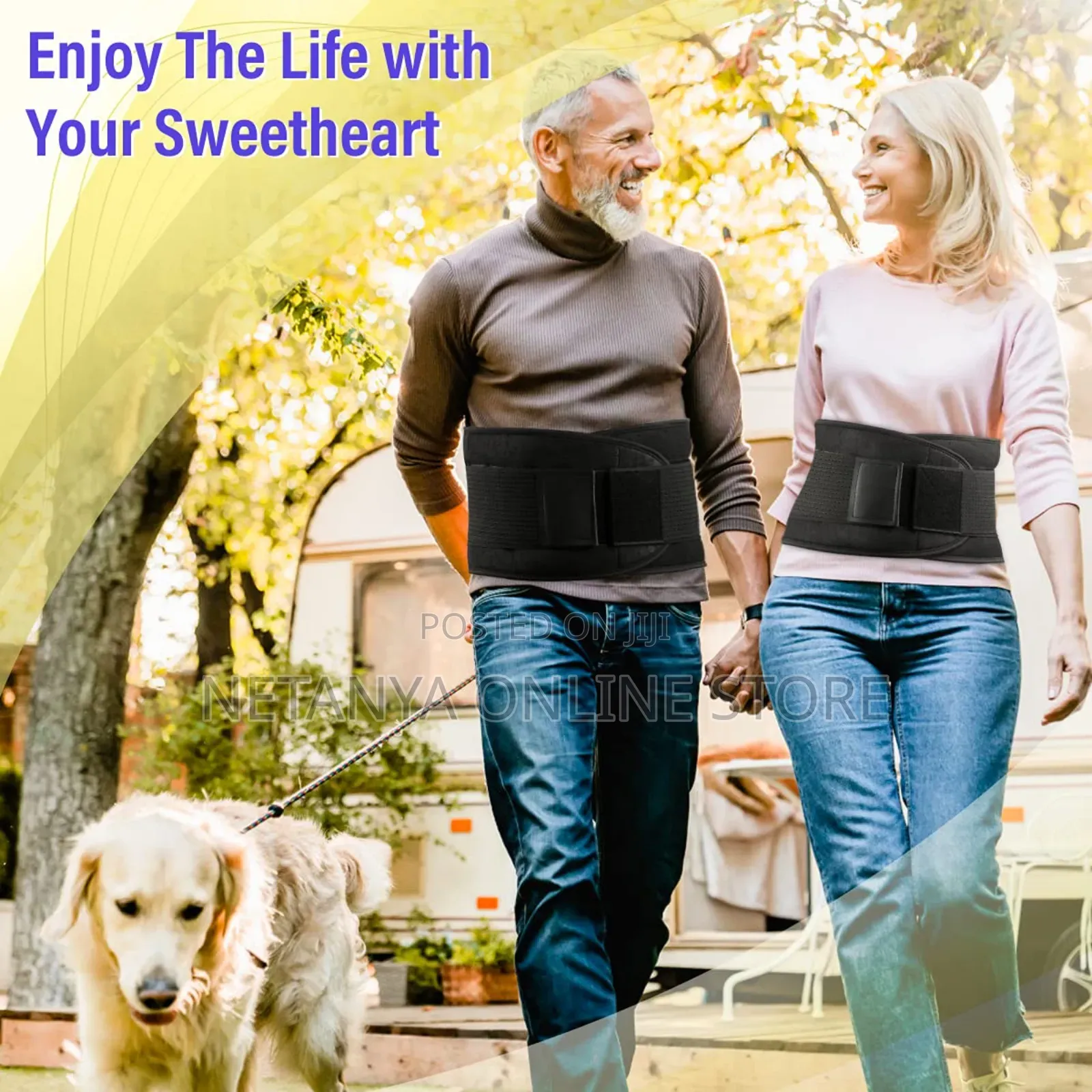Back and Waist Support Belt