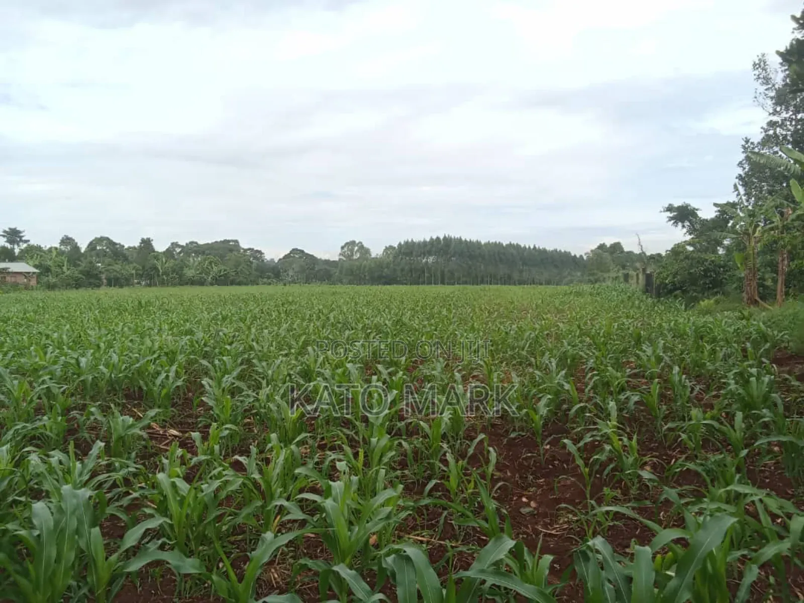 10 Acres for Sale at Mukono Kiyunga