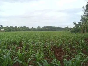 10 Acres for Sale at Mukono Kiyunga