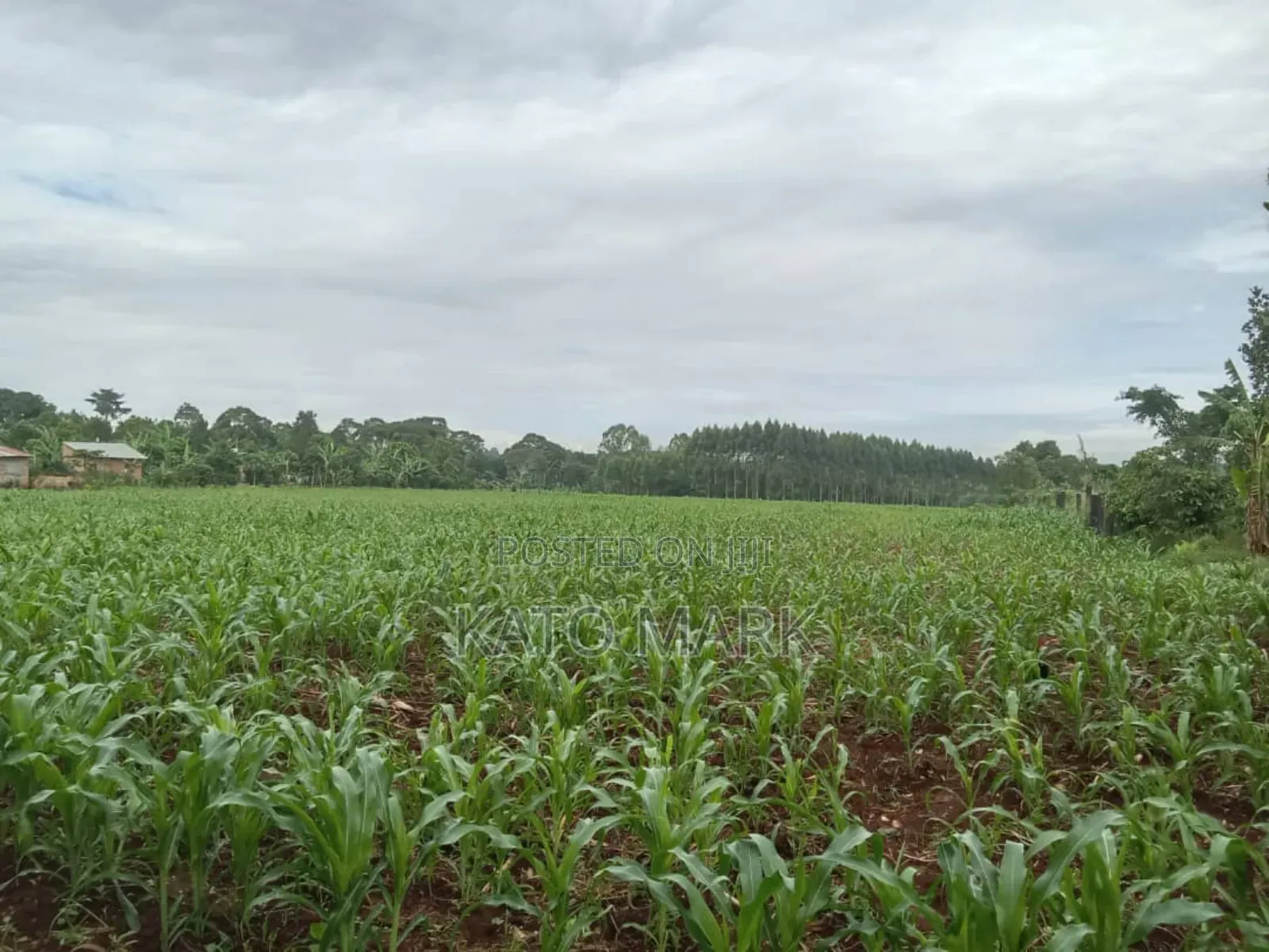 10 Acres for Sale at Mukono Kiyunga