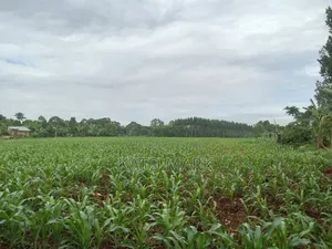 10 Acres for Sale at Mukono Kiyunga