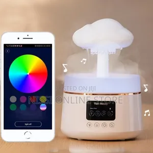 Rain Cloud Aroma Humidifier