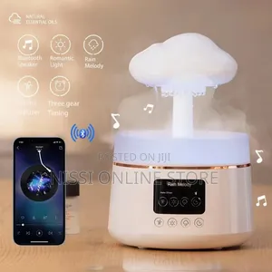 Rain Cloud Aroma Humidifier