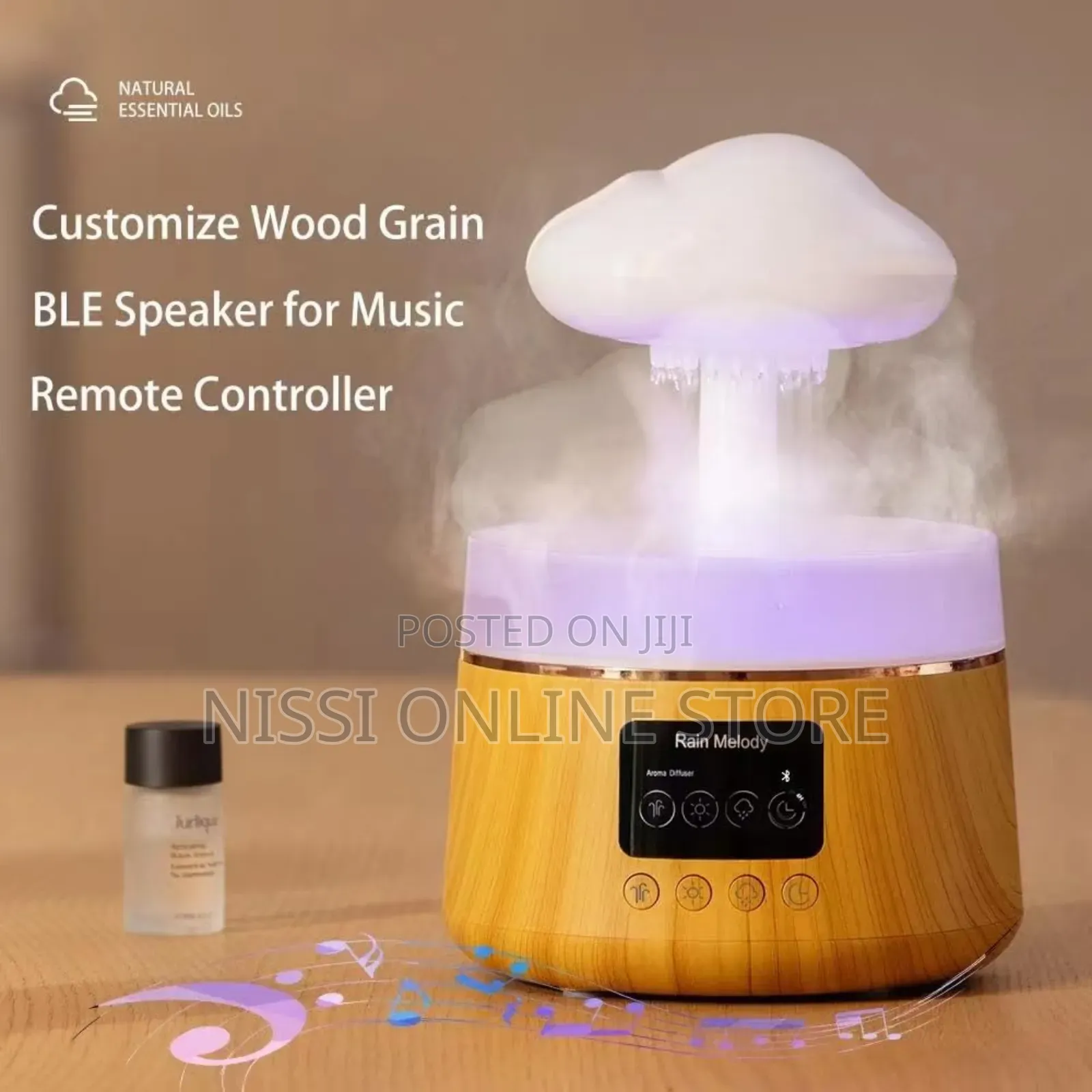 Rain Cloud Aroma Humidifier