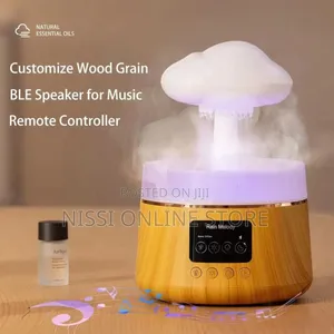 Rain Cloud Aroma Humidifier