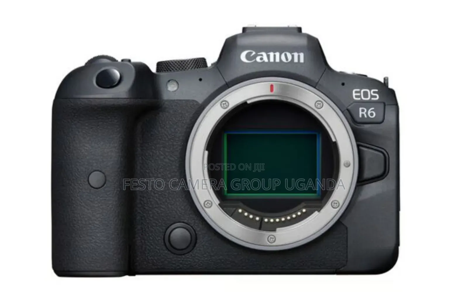 Canon Eos R6 (Body Only)