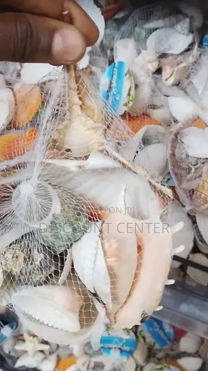 Water Seashelves