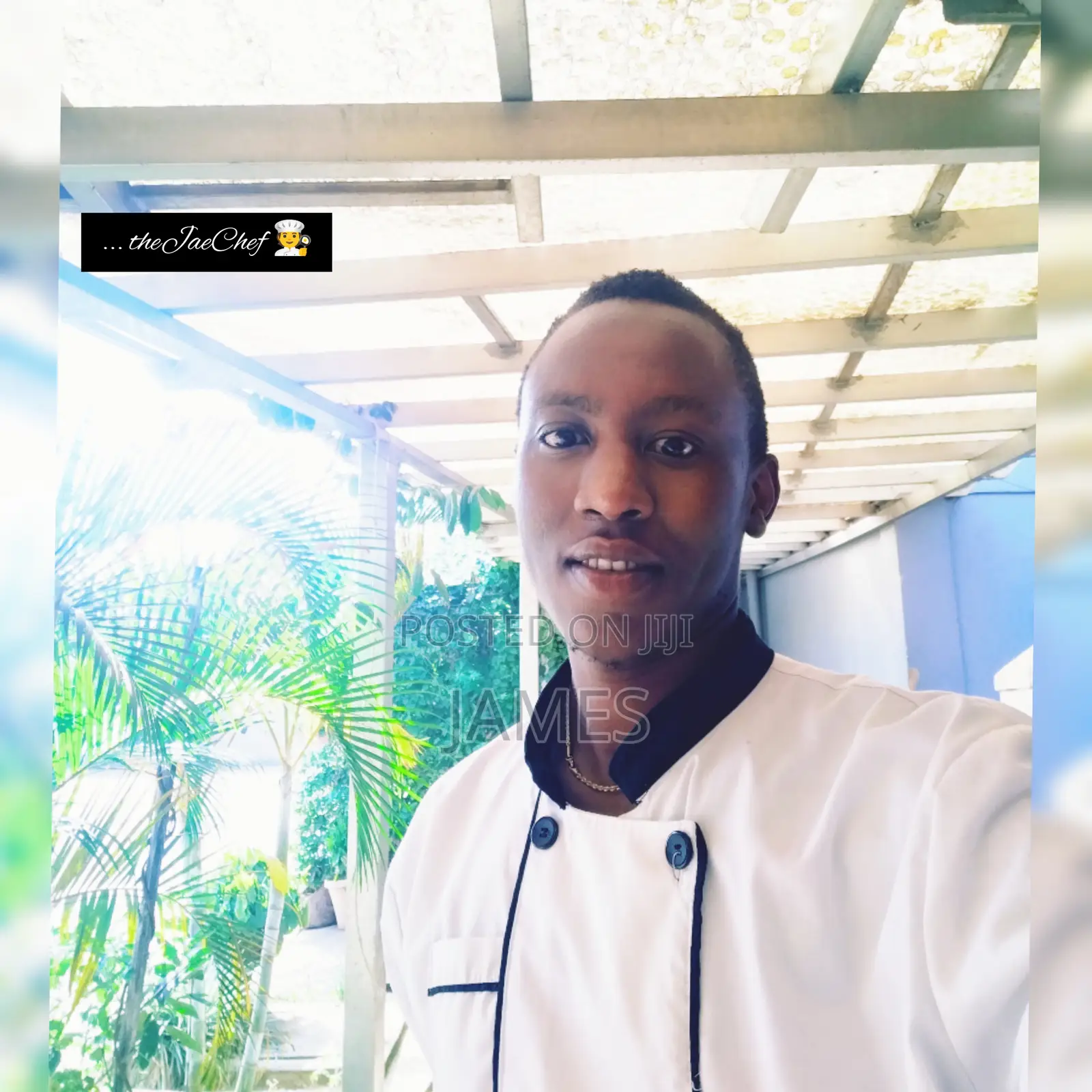 Chef to Work