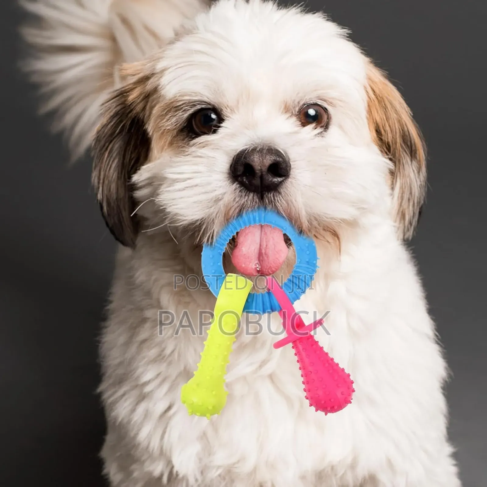 Dog Teething Toy