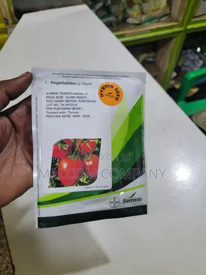 Ansal F1 Tomato Seeds (10,000 Seeds for an Acre)