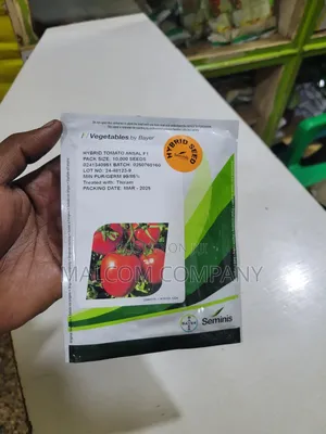 Ansal F1 Tomato Seeds (10,000 Seeds for an Acre)