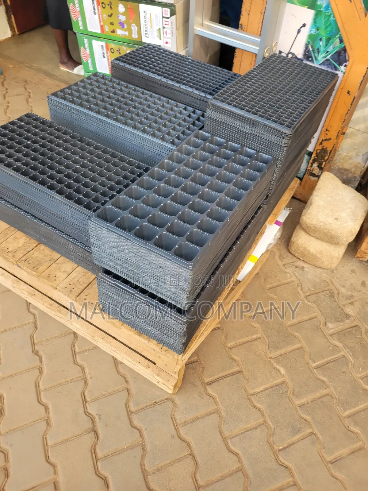Seedlings Plastic Trays.
