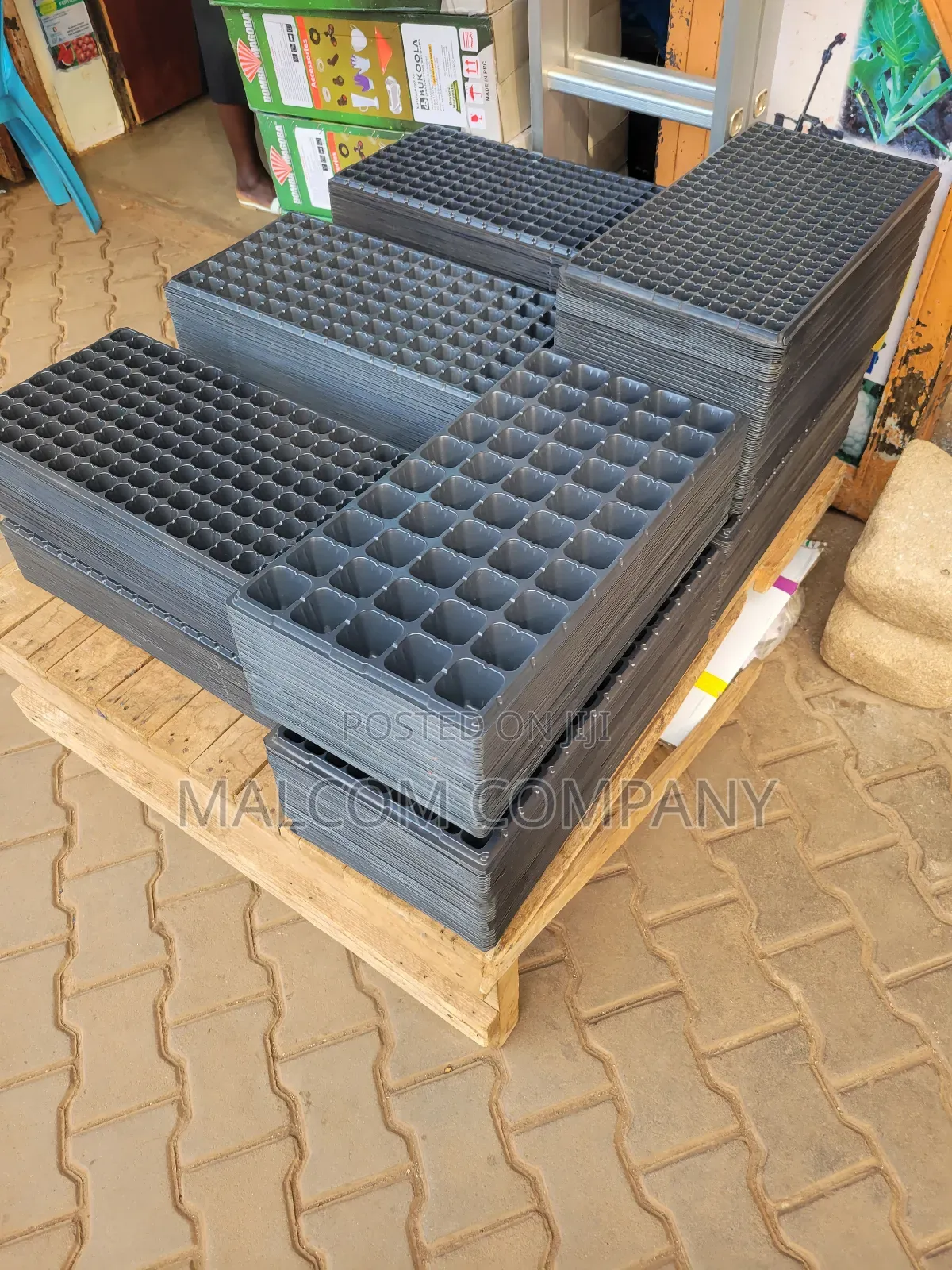 Seedlings Plastic Trays.