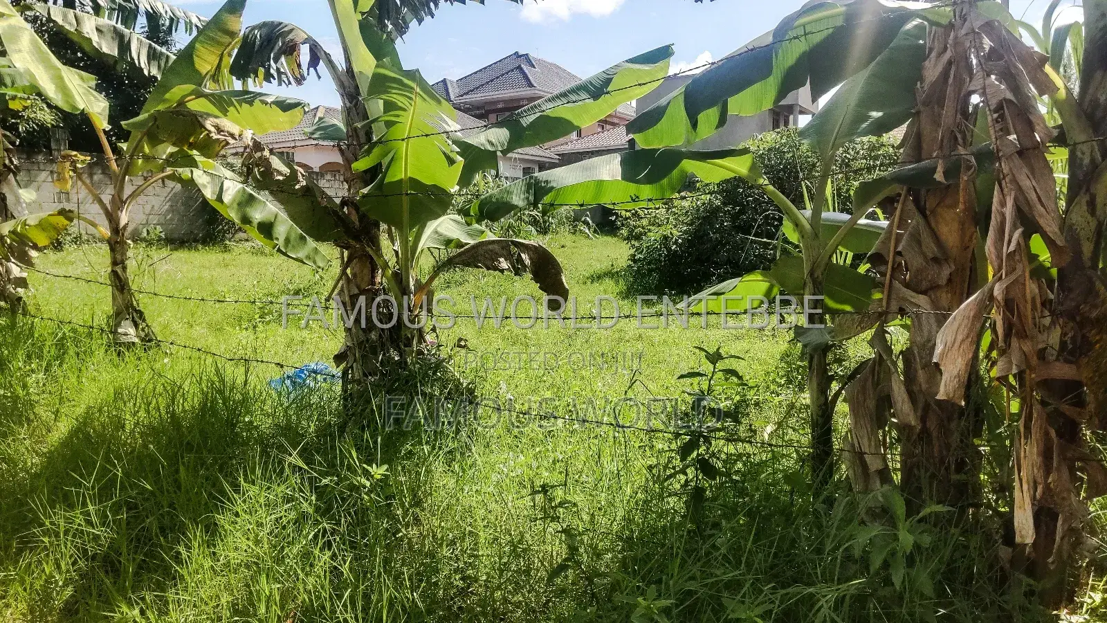 Entebbe Katabi Busambaga Titled Land on Sale