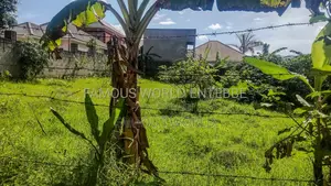 Entebbe Katabi Busambaga Titled Land on Sale