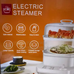 Electric Multifunctional Food Steamer at 160,000/=
