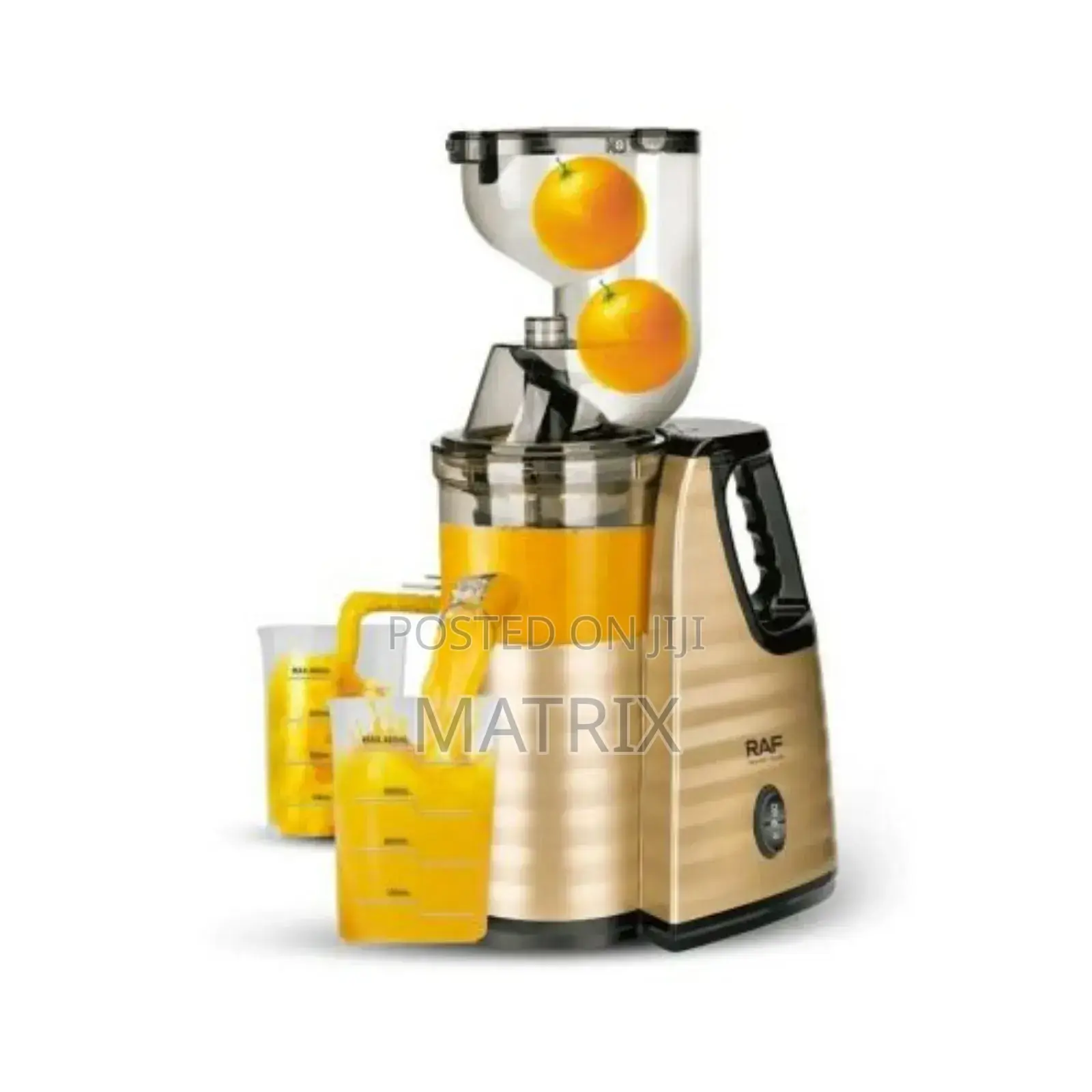 Raf Slow Juicer Juice Extractor