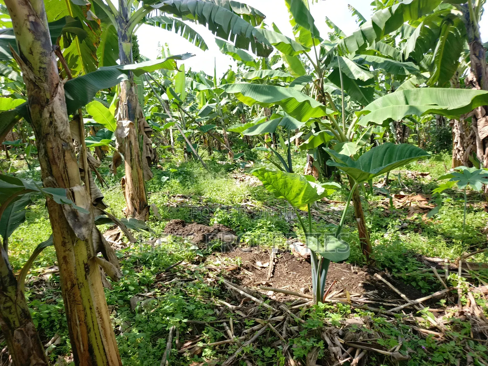 Residential Land on Sale