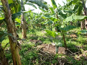 Residential Land on Sale