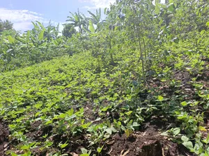 Residential Land on Sale