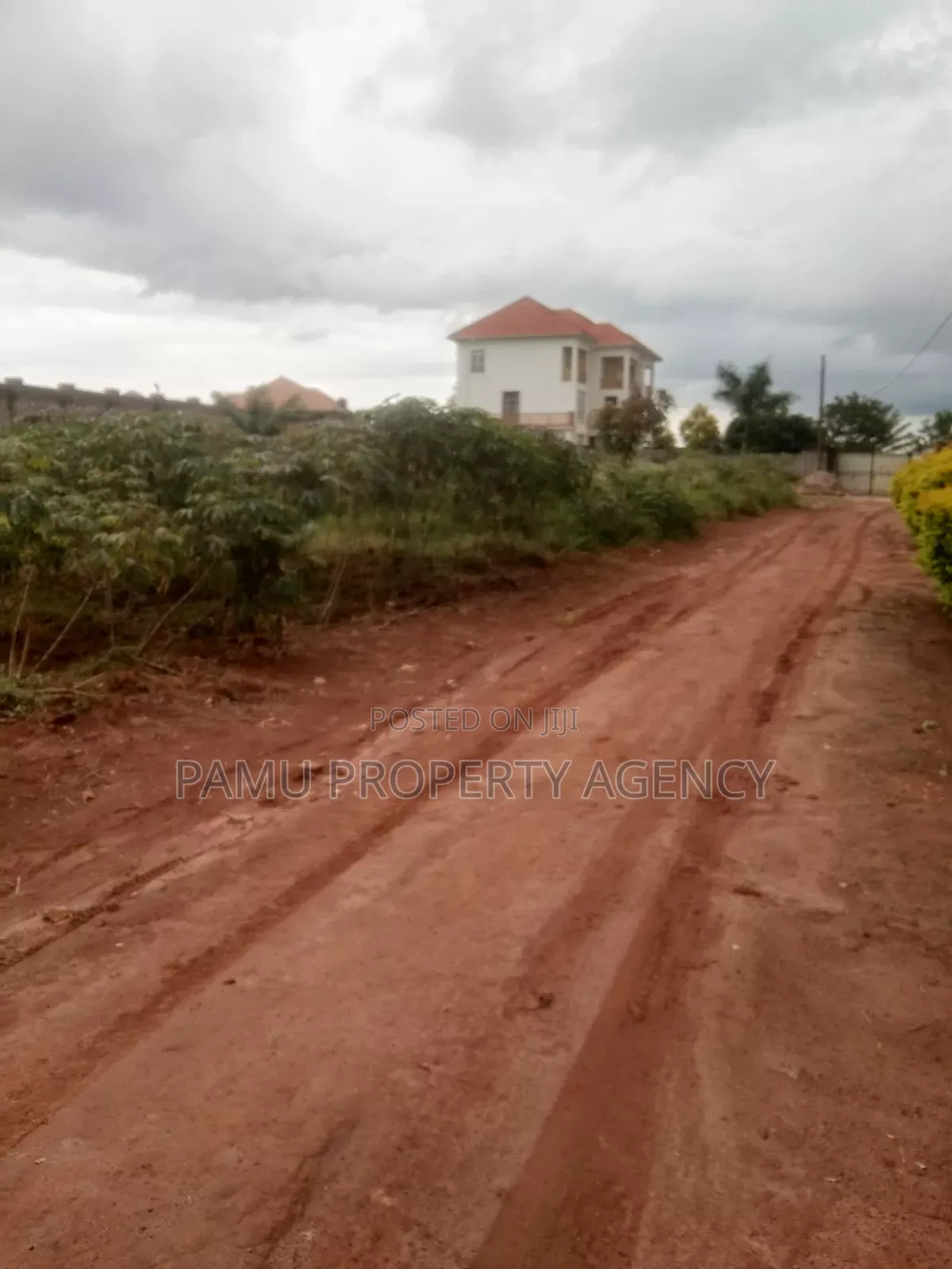 Bubuli Nkumba Entebbe Road Plot for Sale
