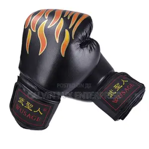 Boxing Gloves Pair