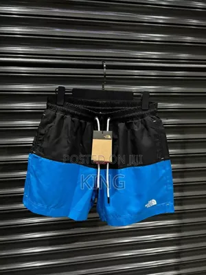 Rugged North Face Utility Shorts