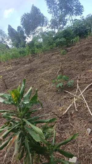 Photo - Land Hoima Road Namayumba Kyanuna