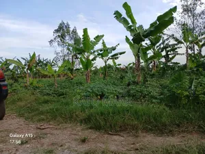 5 Acres for Sale Located at Mukono Nkokonjeru