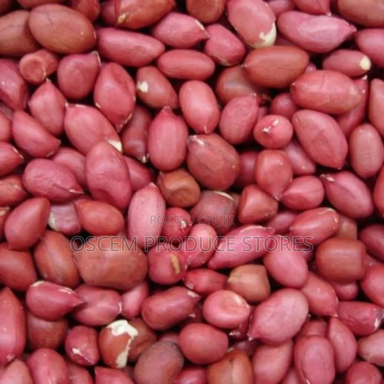 Ground Nuts