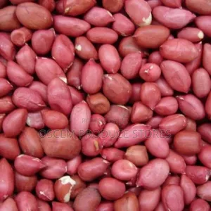 Ground Nuts