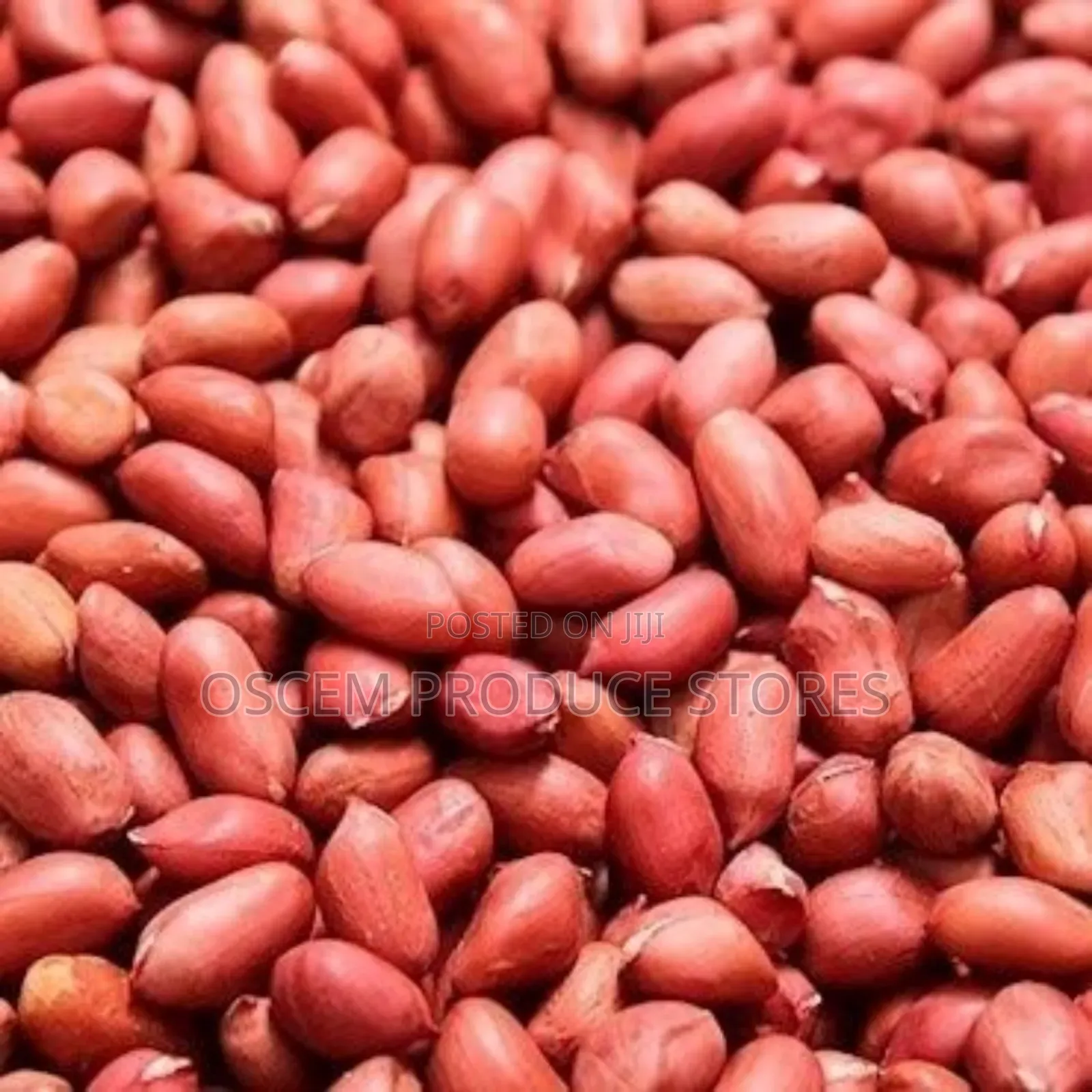 Ground Nuts