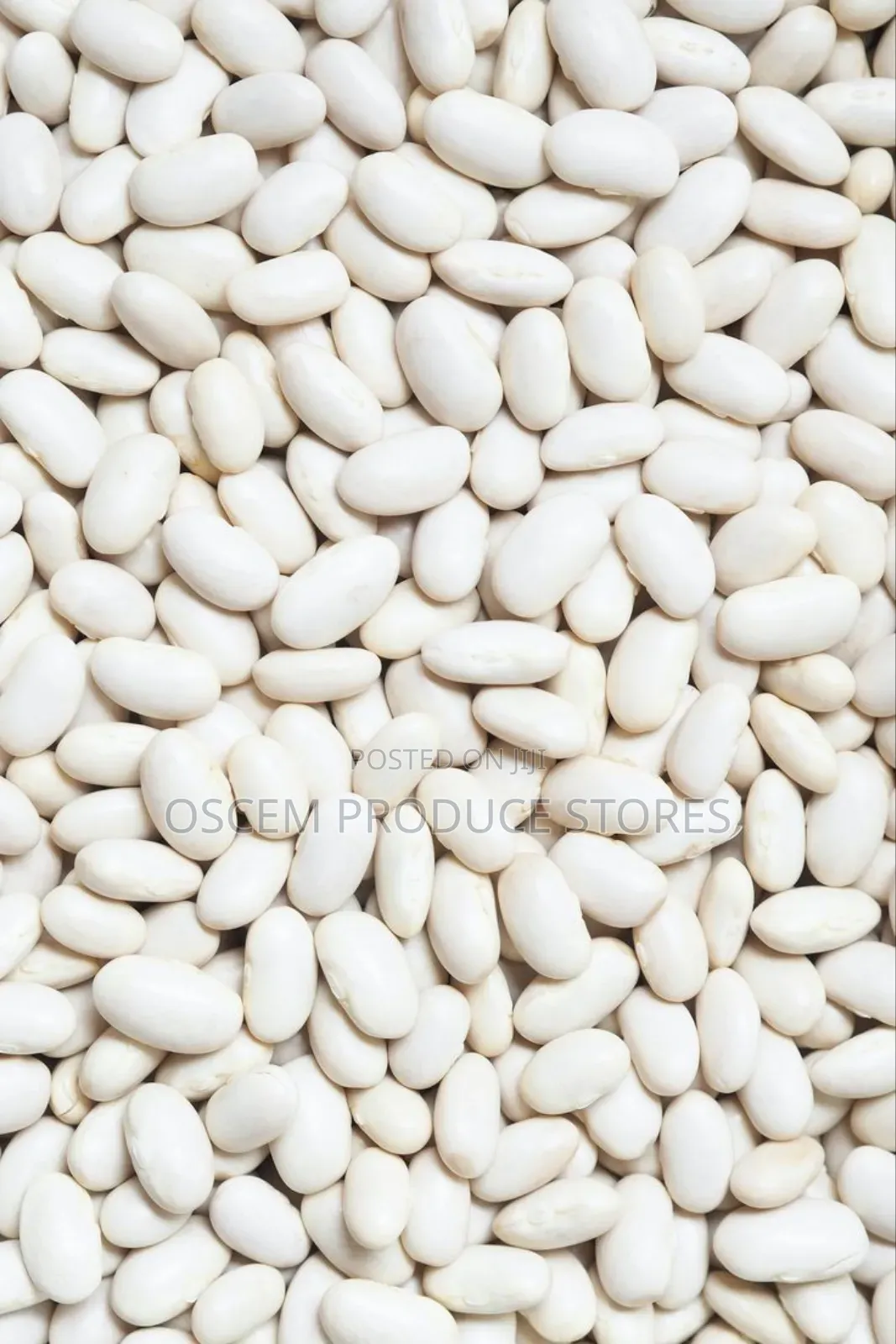 Well Sorted White Beans
