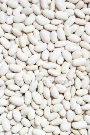 Well Sorted White Beans