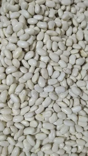 Well Sorted White Beans