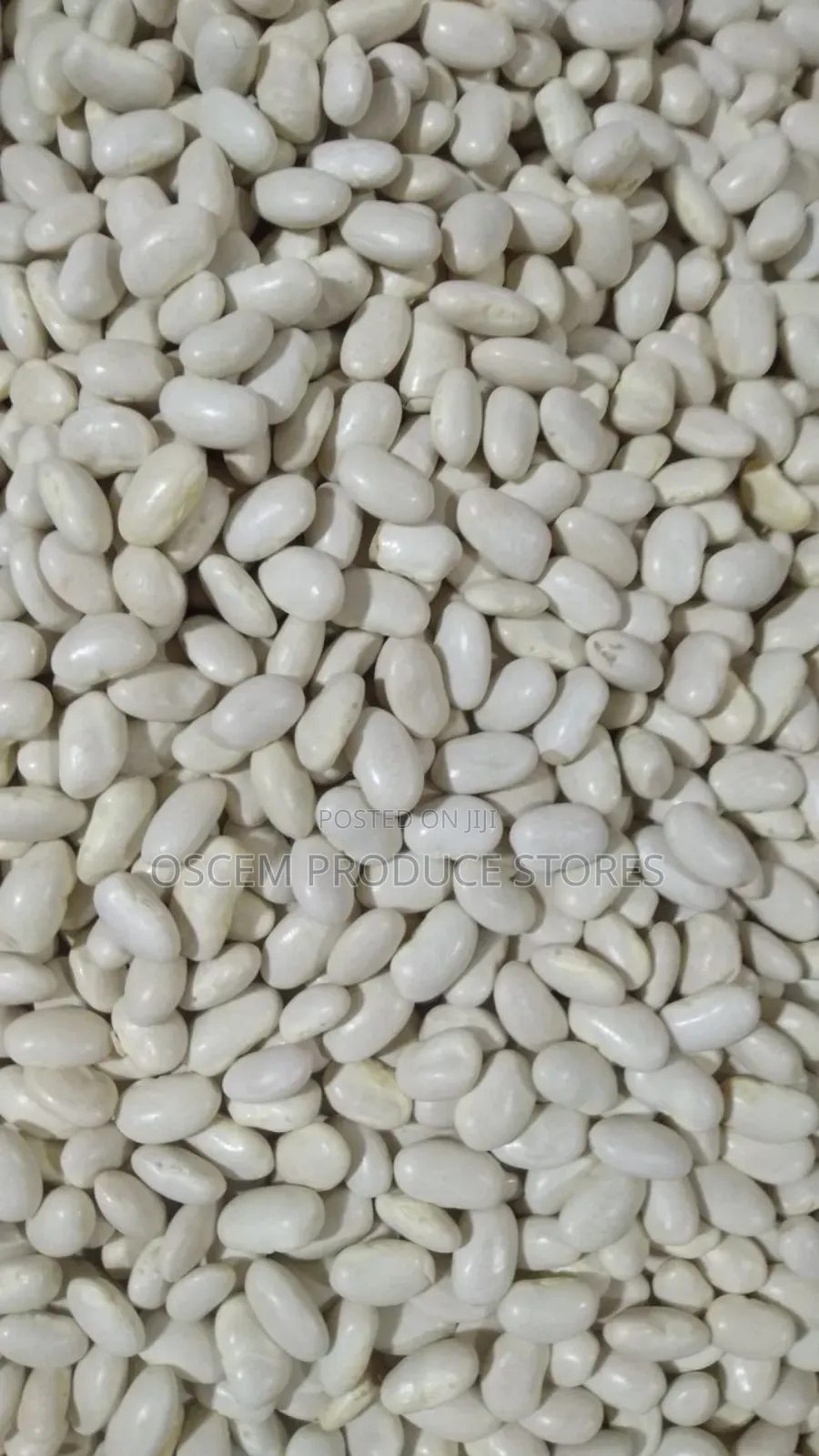 Well Sorted White Beans