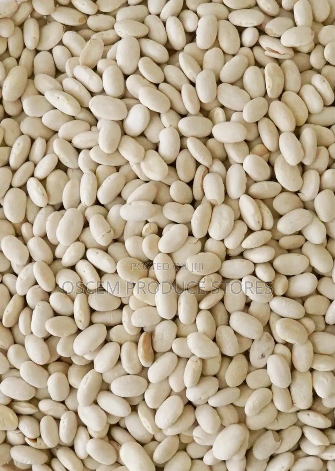 Well Sorted White Beans