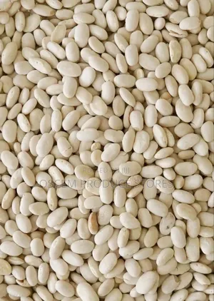 Well Sorted White Beans