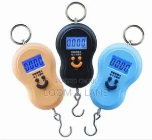 Portable 50kg / 10g Digital Luggage Pocket Scale