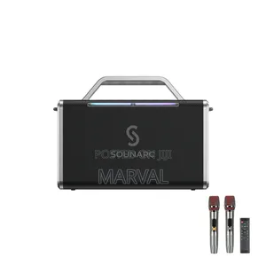 Party Portable Speaker With Dual Wireless Microphones