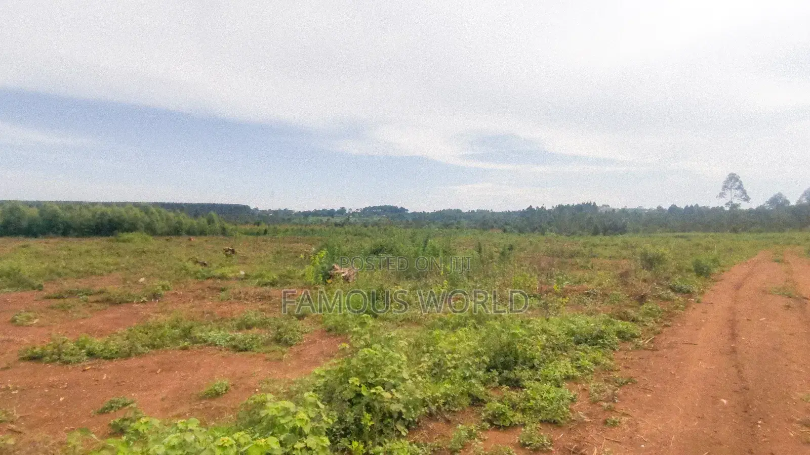 Entebbe Nakawuka Jungo Titled Lands on Sale